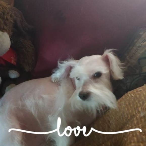 Meet your Posher, Kathryn - Picture 1 of 1